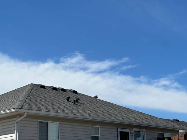 Best Metal Roofing Installation  in Medina, TX